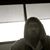 Junyi Shi's profile image