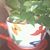 Diane Clauson-Searle's profile image