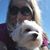 Stacey Crocker's profile image