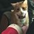 Susan M Rager's profile image