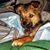 LaDonna Powell's profile image