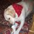 Chrissy Colvin's profile image