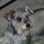 Libby Lu's profile image