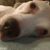 Scott Lemmerman's profile image