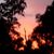 Linda Armey's profile image