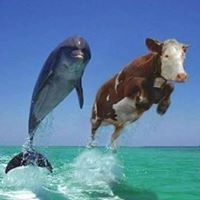 Adam Meador's profile image