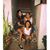 Daniela Olmos's profile image