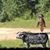 Julie Nichols Gulvas's profile image