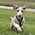 Jana Burch's profile image