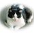 Ryszard Sytnik's profile image