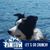 Sue Schenosky's profile image