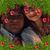 Sergio Matus Zuñiga's profile image