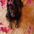 Lori Amend's profile image