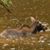 Susan Jones-Wilson's profile image