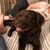Kerry Lively's profile image