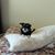 Carolyn Strickland's profile image
