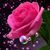 Dianna Stabler's profile image
