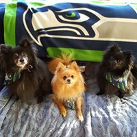 Michelle Buehler's profile image