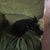 Susan Rupert McCoy's profile image