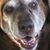 Jamie Moore Zayach's profile image