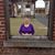 Robin Seabolt Crowe's profile image