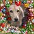 Robin Feagan's profile image