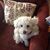 Nancy Akey Robie's profile image