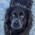 Elizabeth Westermann's profile image