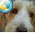 Ozzy Knapp's profile image