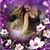 Karen Clary's profile image