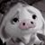 Deborah Pye's profile image