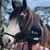 Darcy Hannah's profile image