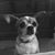 Nancy Taylor-Stewart's profile image