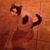 Anne Foster's profile image