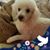 Mary Hernandez's profile image