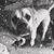 Jessica Burri's profile image