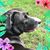 Rhonda Fricke's profile image