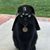Tony Ellis's profile image