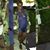 Doral Morrison's profile image