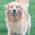 Candi Dirst's profile image