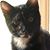 Sue Wilcox's profile image