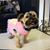Debbie Orick's profile image