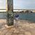 Mary Ann Donatelli-Reilly's profile image