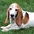 Keith Haemig's profile image