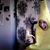 Lynn Morgan's profile image