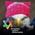 Louise Pucillo Hammerl's profile image