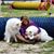 Christy Roberts Thompson's profile image