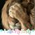 Amy Matsuda's profile image