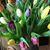 Deb Pearl Hoag's profile image
