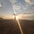 Manza Martin's profile image